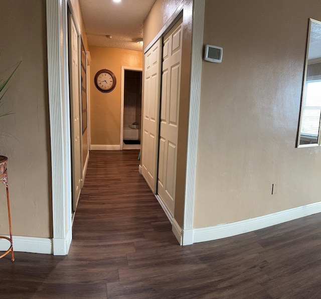 hallway featuring dark wood-type flooring