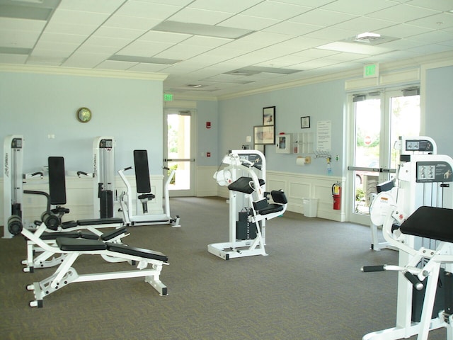 gym with carpet, plenty of natural light, and ornamental molding