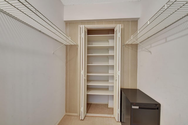 walk in closet with light colored carpet