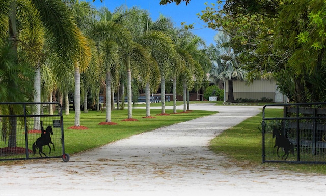 view of property's community with a yard