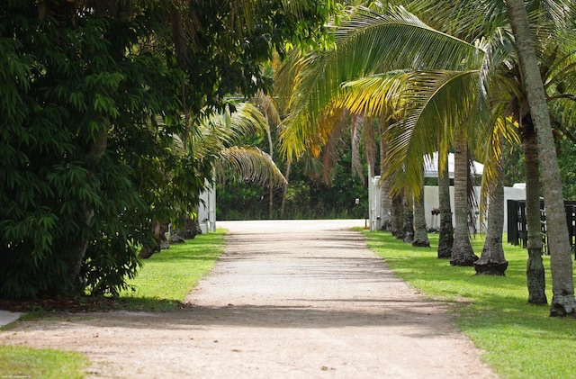 view of community with a yard