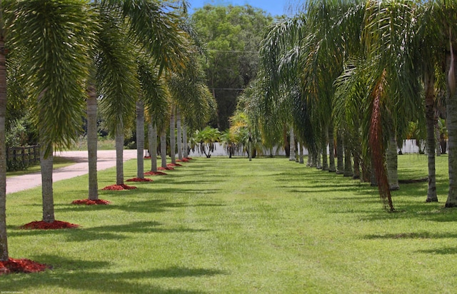 view of home's community with a yard