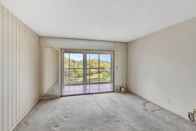 spare room with light carpet and a textured ceiling