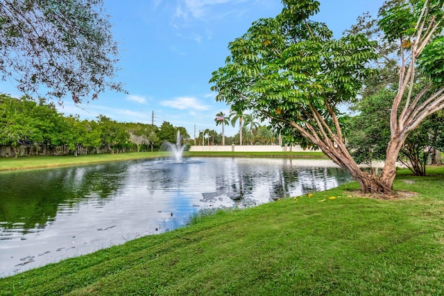 view of water feature