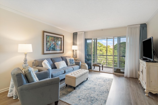 living room with light hardwood / wood-style floors and crown molding