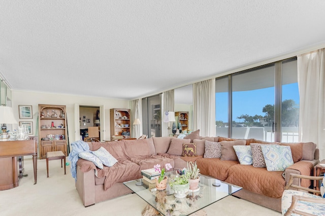 living room featuring light colored carpet, a wall of windows, and a textured ceiling