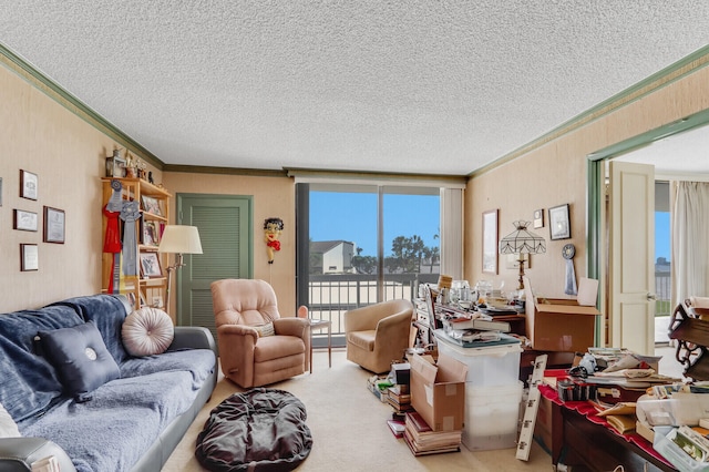 carpeted living room with a textured ceiling and crown molding