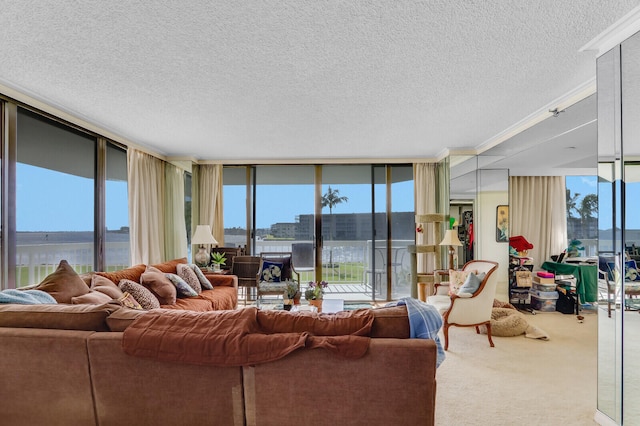 living room featuring carpet, floor to ceiling windows, a textured ceiling, and a wealth of natural light