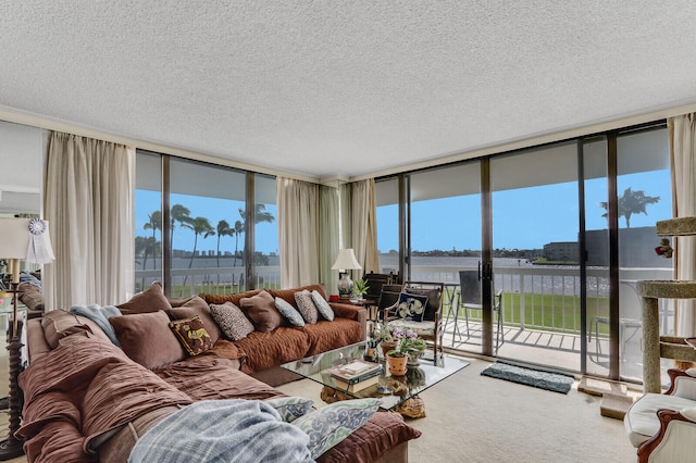 living room with carpet, a healthy amount of sunlight, a wall of windows, and a textured ceiling