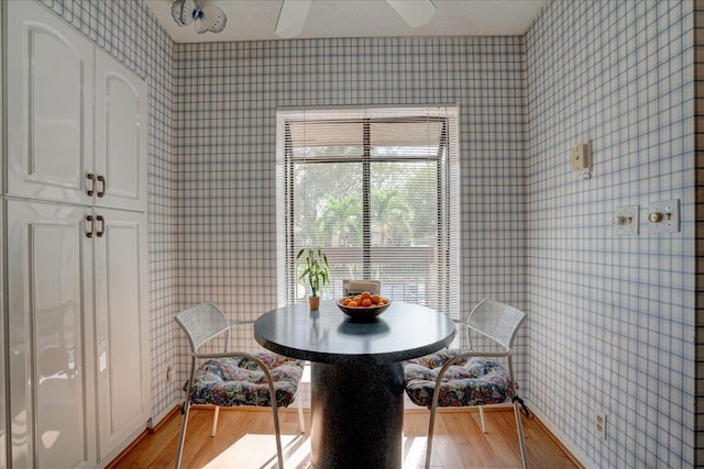 dining room featuring ceiling fan, light hardwood / wood-style floors, and a textured ceiling