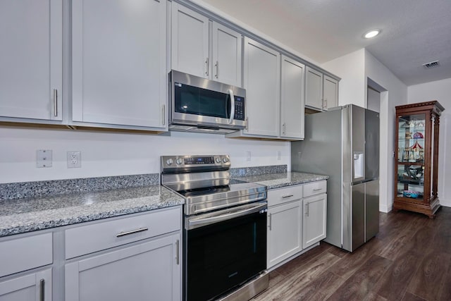 kitchen featuring light stone counters, dark hardwood / wood-style flooring, and stainless steel appliances