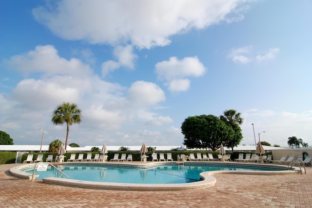 view of swimming pool with a patio