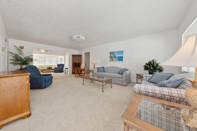 living room with carpet flooring and a textured ceiling