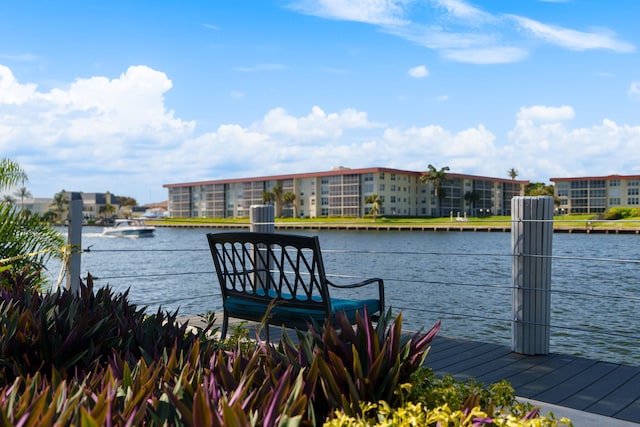 dock area with a water view