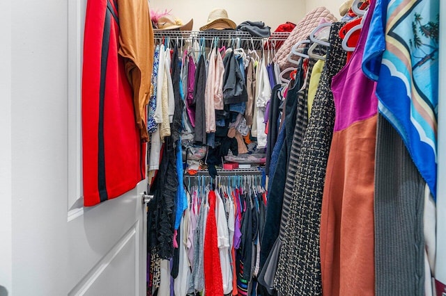 view of spacious closet