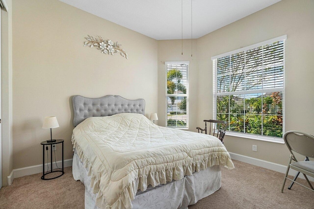 carpeted bedroom with multiple windows