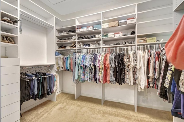 spacious closet with carpet flooring