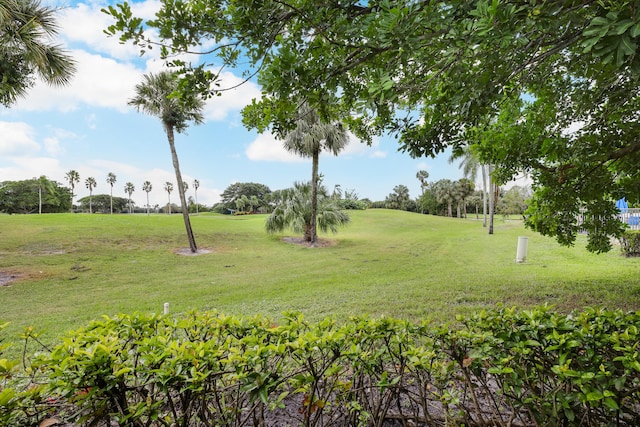 view of property's community featuring a yard