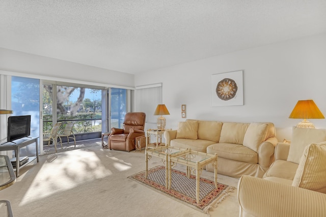 carpeted living room featuring a textured ceiling