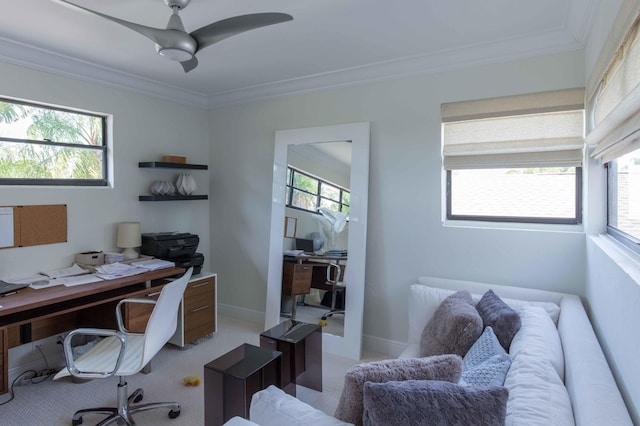 office featuring carpet, ornamental molding, and a wealth of natural light