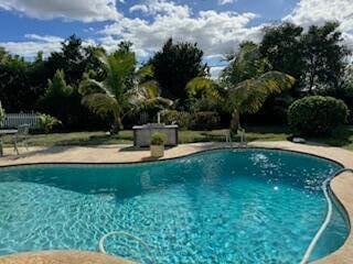 view of swimming pool with a patio area