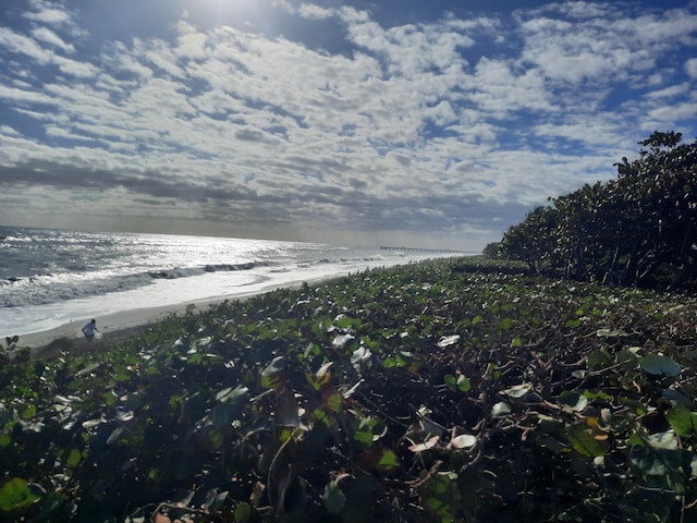 view of water feature with a beach view