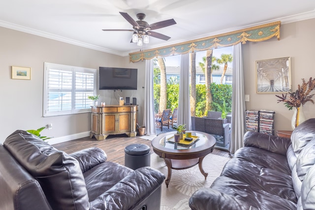 living room featuring hardwood / wood-style floors, plenty of natural light, ceiling fan, and crown molding