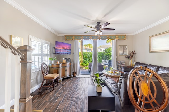 interior space featuring ceiling fan, dark hardwood / wood-style flooring, and crown molding