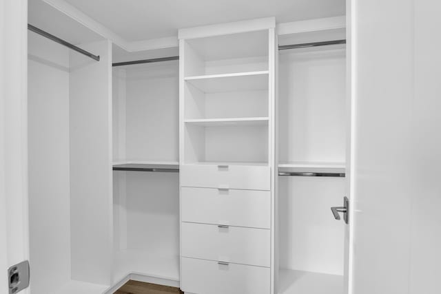 spacious closet featuring dark hardwood / wood-style floors