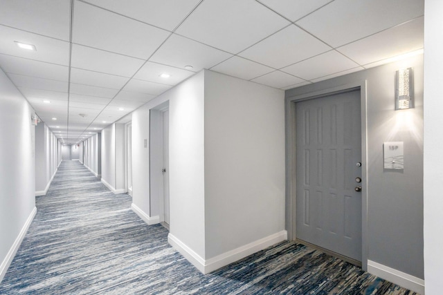 hall featuring a drop ceiling and dark hardwood / wood-style flooring