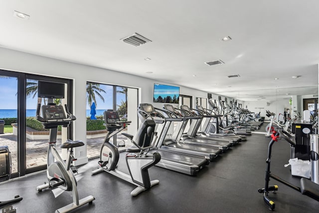 exercise room with a healthy amount of sunlight