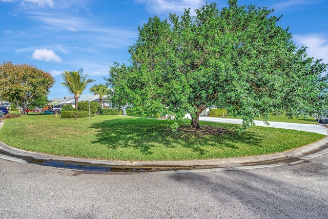 exterior space featuring a yard