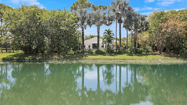 view of water feature