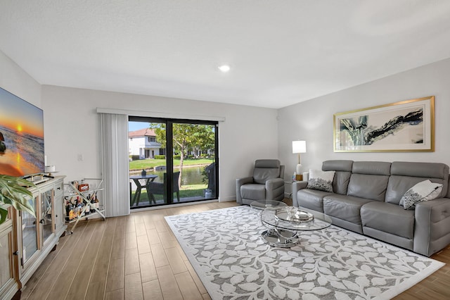 living room featuring wood-type flooring