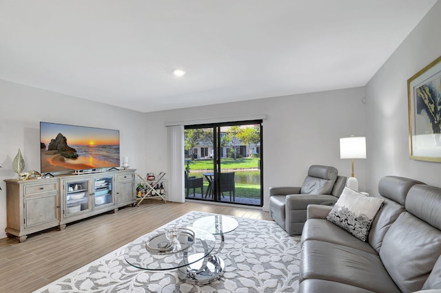 living room with light hardwood / wood-style flooring