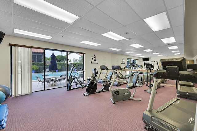 workout area with a paneled ceiling and carpet floors