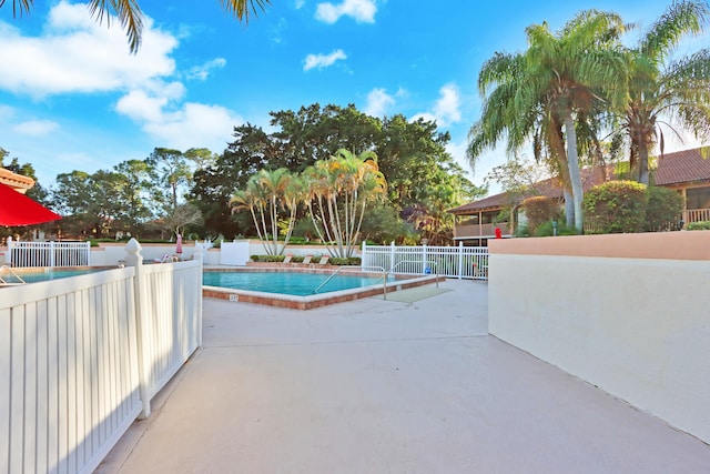 view of pool featuring a patio