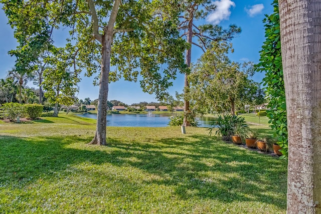 view of yard featuring a water view