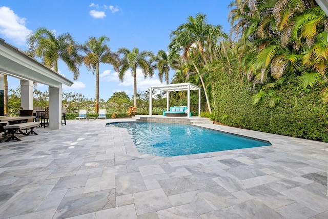 view of swimming pool with a patio area