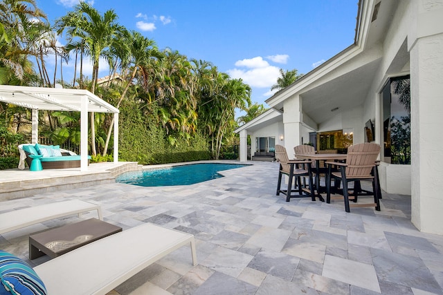 view of pool with a patio area