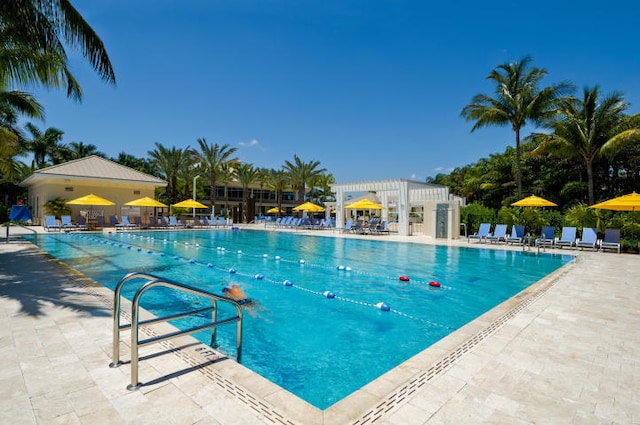 view of pool featuring a pergola and a patio