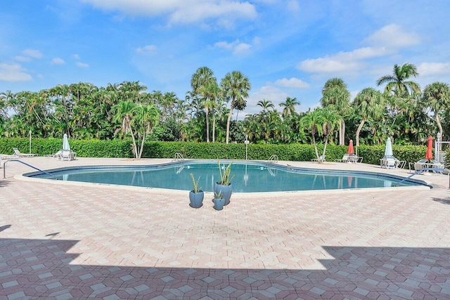 view of swimming pool featuring a patio