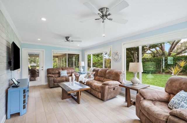 living room featuring ceiling fan, light hardwood / wood-style floors, and crown molding