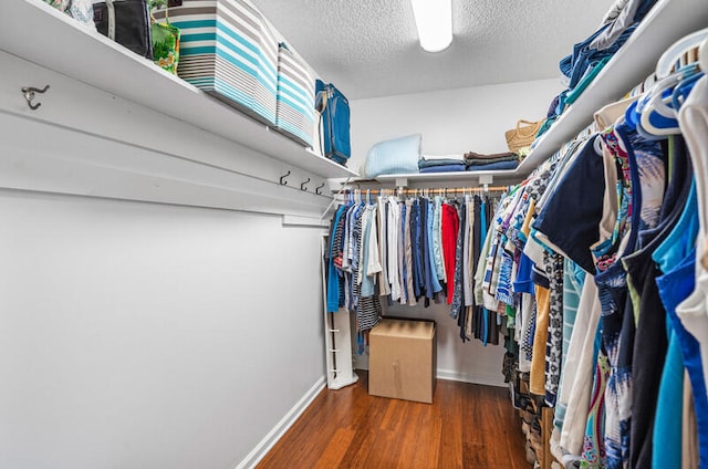 walk in closet featuring dark hardwood / wood-style floors