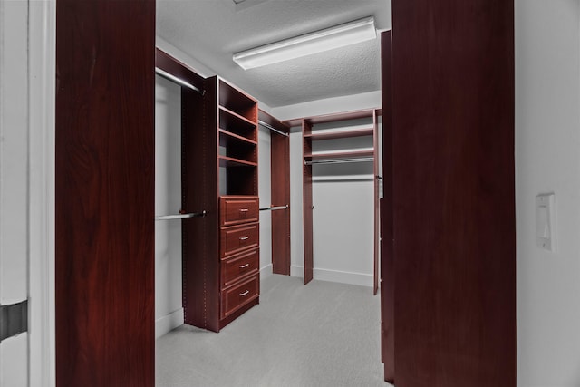 walk in closet featuring light carpet