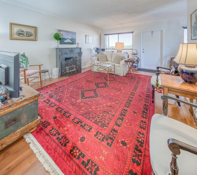 living room featuring wood-type flooring and crown molding