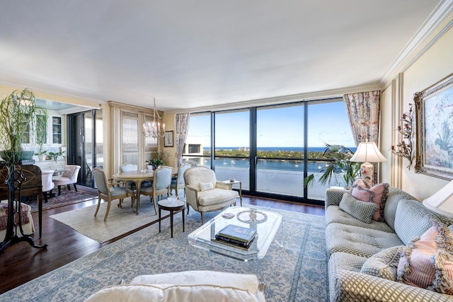 living room with dark hardwood / wood-style flooring, a healthy amount of sunlight, a water view, and crown molding