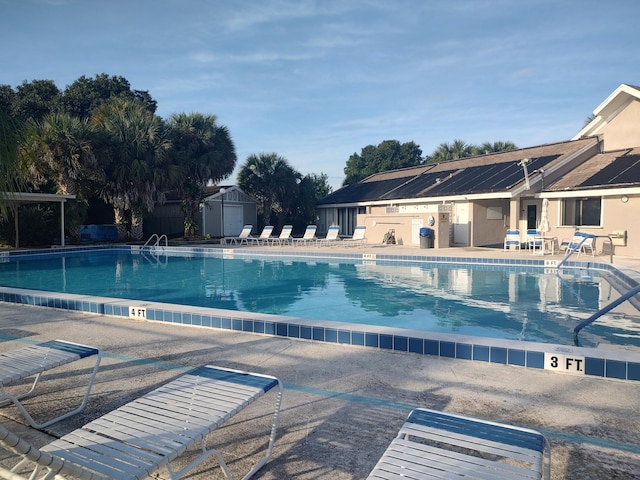 view of swimming pool with a patio and a shed