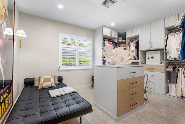 interior space featuring light carpet and a closet