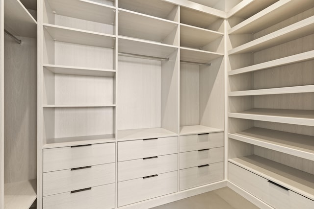 view of spacious closet